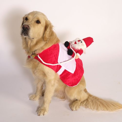 Hundens Jultröja - Jultomten